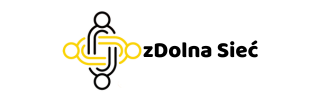 zDolna Sieć NGO 